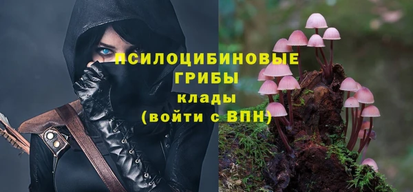 ECSTASY Покачи