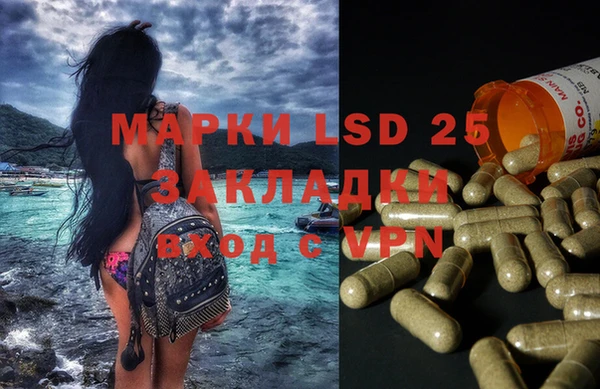 ECSTASY Покачи
