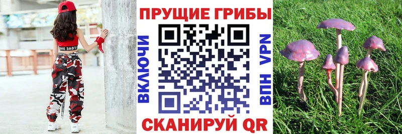 Купить  Северодвинск  Псилоцибиновые грибы ЛСД 